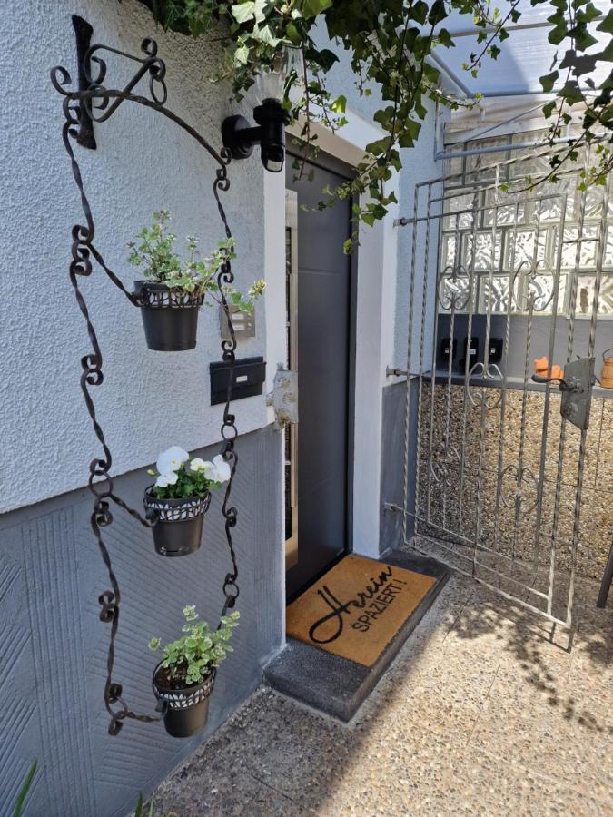 Ferienhaus Steigrhein Filsen 外观 照片