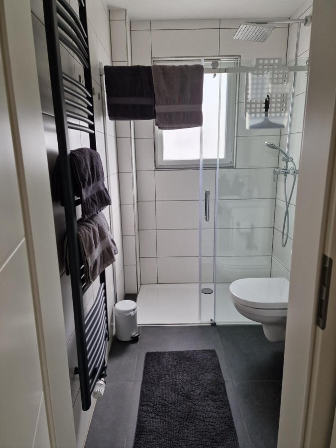 Ferienhaus Steigrhein Filsen 外观 照片